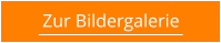 Zur Bildergalerie