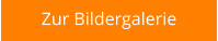 Zur Bildergalerie
