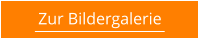 Zur Bildergalerie