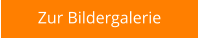 Zur Bildergalerie