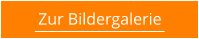 Zur Bildergalerie