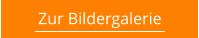 Zur Bildergalerie