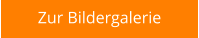 Zur Bildergalerie