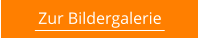 Zur Bildergalerie